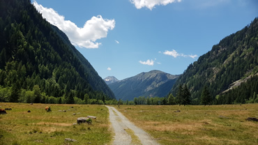 Mallnitz