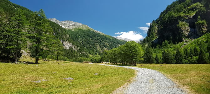 Mallnitz in the Summer
